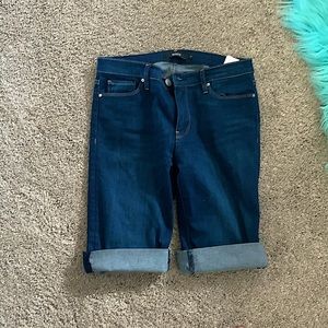 Hudson Los Angeles brand size 29